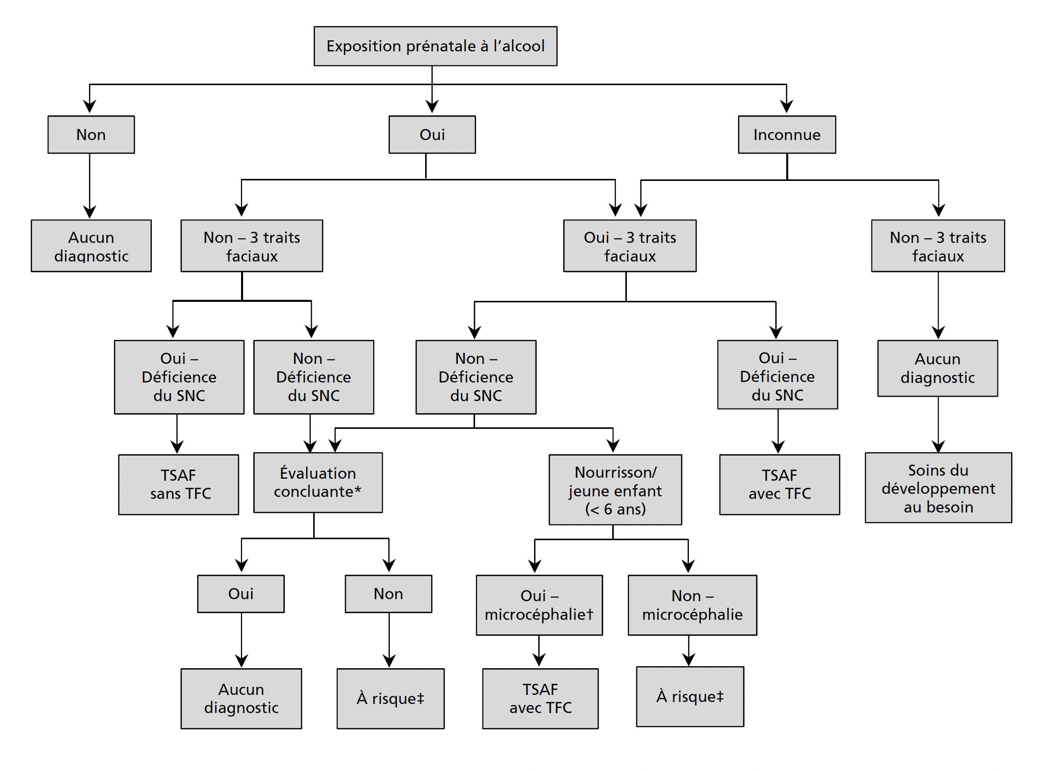 Schéma diagnostique du TSAF